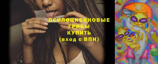 гидропоника Арсеньев