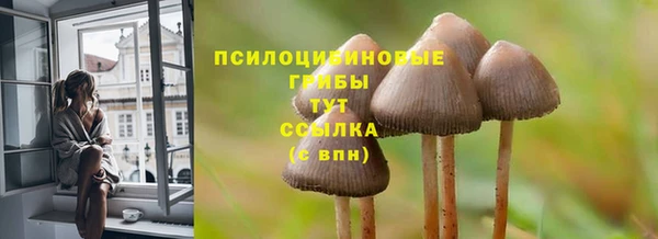 бутират Аркадак