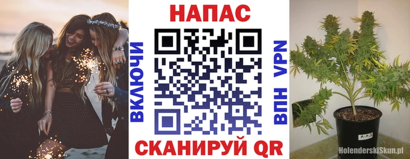 Бошки марихуана сатива  Чёрмоз 